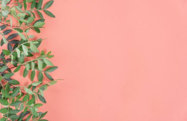 Açık kırmızı arkaplanda yeşil yapraklar.