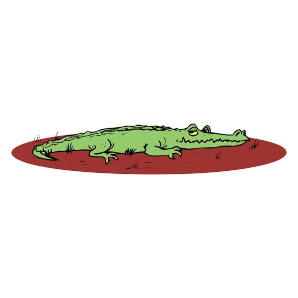 Karikatur Krokodil Isoliert Auf Weißem Hintergrund — Stockvektor