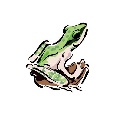 vektör şirin kurbağa çizgi film biçimi