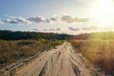 Bozkırın içinden geçen kırsal bir yol çam ormanına çıkar, güneşin sıcacık parıltısıyla yıkanır - kırsal manzaraların cazibesini ve orman güzelliğine geçişi yansıtan büyüleyici bir manzara