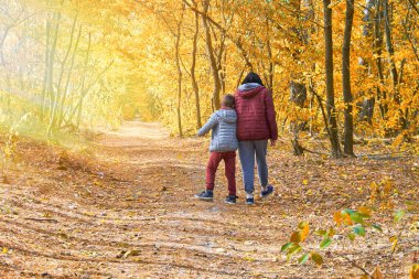 Aile ormanda yürüyor. Anne ve küçük oğlu, güneşli bir sonbahar ormanı yolunda el ele yürüyorlar. Aile bağları, yetiştirme, kaliteli zaman, ebeveynlik, birliktelik..