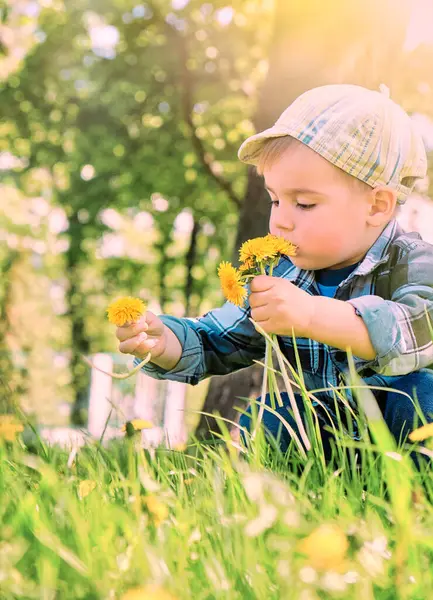 stock image Heartwarming portrait of boy in field of dandelions, carefully picking them to create bouquet for his mother.His gentle touch and focused expression capture the essence of childhood innocence and love