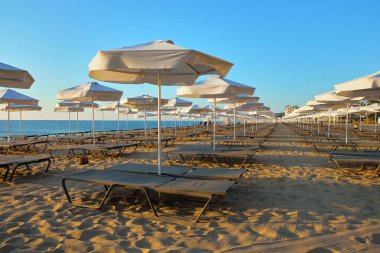 Bir sıra plaj şemsiyesi ve şezlonglar durgun bir okyanusa doğru uzanan ahşap bir tahta kaldırıma dizilmişler, canlı ve davetkar bir yaz kaçamağı sahnesi yaratıyorlar..