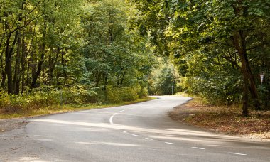 Güneşli bir günde yemyeşil bir ormanda dolambaçlı bir yol. Manzaralı sürüş ve doğa yürüyüşleri için ideal..