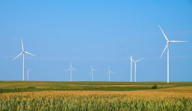 Elektrik üretim istasyonu var. Alternatif Enerji Değirmeni Çiftliği. Rüzgâr türbinleri açık mavi gökyüzünün altındaki mısır tarlasında dimdik duruyor. Yenilenebilir enerji ve sürdürülebilir tarım sergiliyorlar..