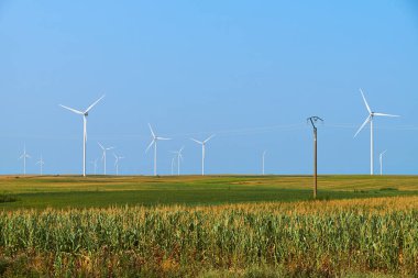 Elektrik üretim istasyonu var. Alternatif Enerji Değirmeni Çiftliği. Rüzgâr türbinleri açık mavi gökyüzünün altındaki mısır tarlasında dimdik duruyor. Yenilenebilir enerji ve sürdürülebilir tarım sergiliyorlar..