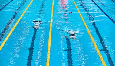 Sporcular bitirir. Sucul bifinleri sporu. Sporcular mavi yüzme havuzunda yarışıyorlar. Finyüzme Dünya Şampiyonası.
