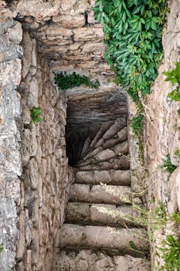 Taştan bir spiral merdiven, kadim ve fazla gelişmiş bir yapıya iniyor. Eskimiş basamaklar yosun ve sarmaşıklarla çevrili. Gizemli ve tarihi bir atmosfer yaratıyorlar..