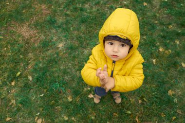 Sarı ceketli küçük bir çocuk parkta çimlerin üzerinde dururken kameraya bakar. Çocuk başlık ve şapkayla sıcacık giyinmiş, serin bir gün olduğunu gösteriyor..