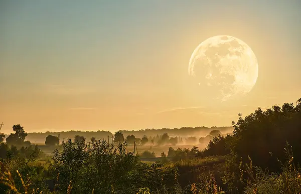 Sisli bir sabah manzarası yumuşak altın ışıkla yıkandı ve gökyüzünde büyük bir dolunay belirdi. Ağaçlar ve çalılar bu kırsal bölgede dingin, ruhani bir atmosfer yaratıyor..