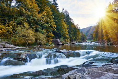 Huzurlu bir dağ nehri, ağaçların arasından akan güneş ışığıyla verimli bir sonbahar atmosferi yaratır. Doğanın huzur ve güzelliğinin mükemmel tasviri..