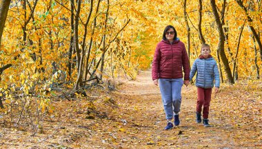 Bir anne ve oğul, canlı sarı ve turuncu yapraklarla çevrili bir sonbahar ormanında el ele yürürler. Sahne, aile bağlarının sıcaklığını ve sonbahar mevsiminde doğanın güzelliğini yakalıyor..
