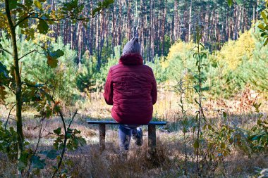 Kırmızı ceketli ve şapkalı bir adam, sırtı kameraya dönük bir şekilde sessiz bir ormanda, huzur ve doğanın tadını çıkarıyor. Yalnızlık, yansıma ve rahatlama kavramları için mükemmel..