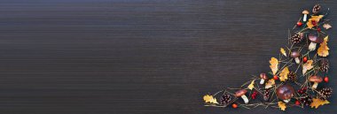 Sonbahar kompozisyonu, mantarlar, kozalaklar ve koyu ahşap arka planda kuru meşe yaprakları. Mevsimlik tasarımlar veya metin için alanı olan doğa temalı düzenler için idealdir.