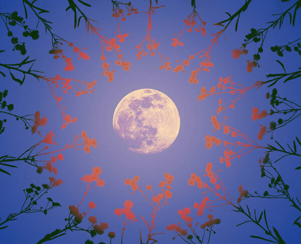 A full moon shines brightly in the center, surrounded by delicate floral silhouettes, creating a mystical and serene night scene with vibrant colors of blue, pink, and green blending harmoniously.
