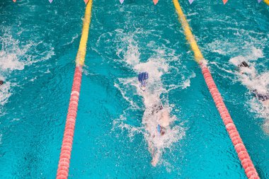 Dünya Şampiyonası finali. Sucul bifinleri sporu. Mavi yüzme havuzunda yarışan sporcular.
