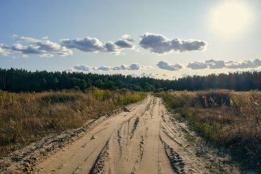 Uzun otlar ve yemyeşil yemyeşil ile çevrili vahşi bir tarladan geçen toprak bir yol, yumuşak bulutlarla kaplı bir gökyüzünün altında yoğun bir ormana çıkıyor. Sahne huzurlu, kırsal bir atmosferi çağrıştırıyor..