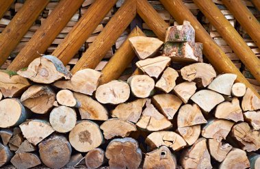 Ahşap bir barınağın altına düzgünce yerleştirilmiş odun yığınları doğal ahşap dokuları ve yapıyı ön plana çıkarıyor. Kırsal yaşam tarzı, kış hazırlığı veya organik materyal temaları için ideal.