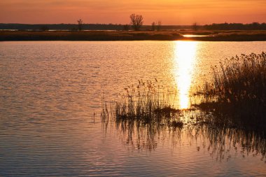 Altın gün batımı, uzaktaki sazlıkların ve ağaçların siluetleriyle sakin bir göle yansıyor. Akşam gökyüzünün ılık renkleri doğal manzaraya huzur katar..