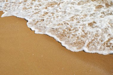 Güneşli bir günde altın kumun üzerinde süzülen köpüklü okyanus dalgalarının yakın çekimi, yumuşak su ve kıyı dokularıyla huzurlu ve rahatlatıcı bir plaj sahnesi yaratıyor..