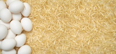 Doğal saman arka planında taze beyaz yumurtalar. Sol taraftaki organik çiftlik yumurtaları sağ tarafta boş alan bırakıyor. Sıcak, yumuşak renk paleti olan minimalist kırsal kavram.