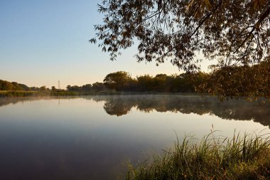 Büyük bir söğüt ağacının altında sisli bir gölün yanında sakin bir sabah, güneş ışınları dalların arasından süzülüyor ve durgun sudan yansıyor..