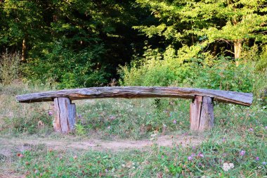 Kaba ahşap bir bank ve aşınmış bir tahta parçası, sık yeşil bir ormanın yakınındaki, sıcak güneş ışığıyla aydınlatılmış bir kır çiçeğinin çayırında oturur. Huzurlu bir doğa sahnesi.