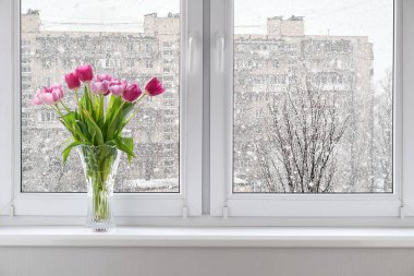 Pencere kenarında cam vazoda taze laleler ve Ukrayna 'da nisan ayında yoğun kar yağışı. Pencereden bahar çiçekleri ve kış havası arasındaki zıtlık.