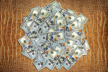 Bir yığın 100 dolarlık banknot timsah derisine benzeyen dokulu altın-kahverengi bir yüzeye yayılmış. Para, modern Amerikan para biriminin güvenlik özelliklerini gösteren gevşek bir şekilde düzenlenmiştir..