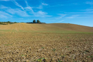 Fransa 'da tarlalar. Rieux-Volvestre yakınlarındaki tarım alanları, Haute-Garonne, Fransa