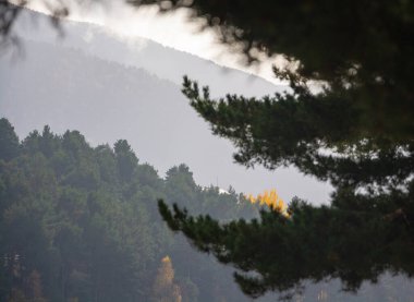 Sarı ağaç. Andorra 'daki dağ manzarası. Güzel dağ manzarası.