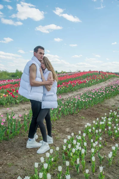 Facet Dziewczyna Przytulanki Polu Kolorowych Tulipanów Młoda Piękna Para Białych — Zdjęcie stockowe