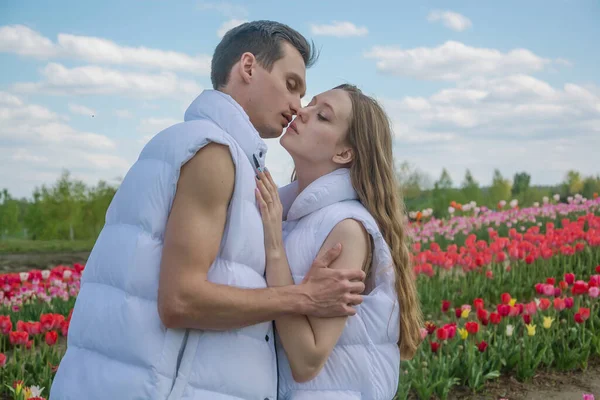 Guy Girl Kissing Hugs Field Colorful Tulips Young Beautiful Couple — Stock Photo, Image