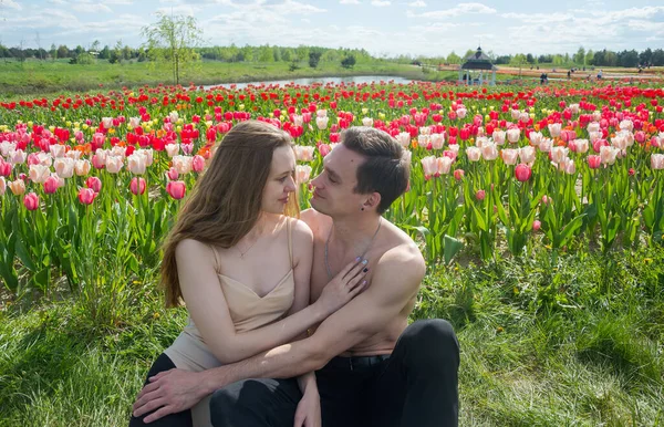 Young Beautiful Smiling Couple Sits Background Field Colorful Tulips Guy — Stock Photo, Image