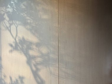  Doğal güneş ışığı, ağaç dallarının yumuşak gölgelerini ahşap bir panel duvarına düşürüyor ve sakin ve minimalist bir atmosfer yaratıyor..