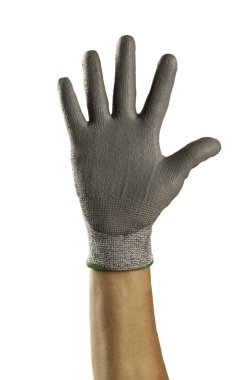 Erkek eli beyaz arka planda gri eldivenli.