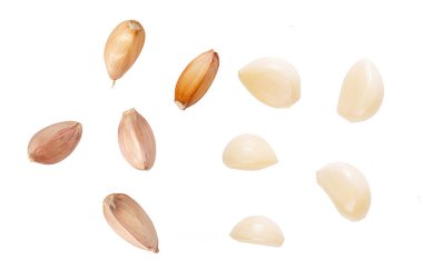 Sarımsak beyaza izole edilmiş