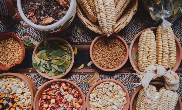 stock image Grains such as beans, corn and coca leaf, representative to the city of Cusco in Peru, superfood andean