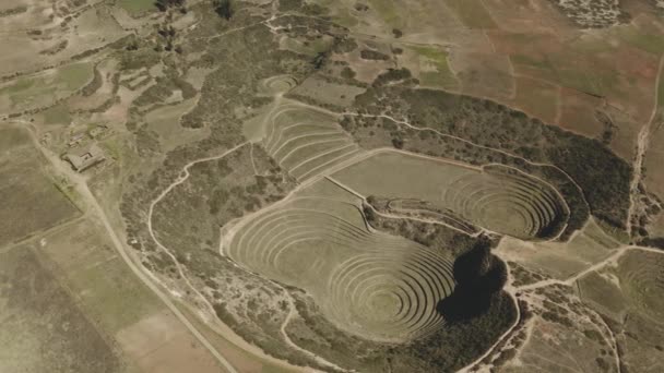 Concentric Βεράντες Inca Περίοδο Moray Urubamba Κοιλάδα Περού Αεροφωτογραφία Του — Αρχείο Βίντεο
