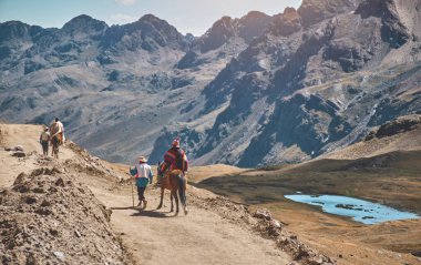 Perulu Andean 'lı adam geleneksel renkli giysiler giyiyor tepede yürüyor, Cusco, Peru