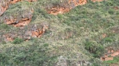 Kutsal Peru Vadisi 'nde İnkalar tarafından inşa edilen Pisac Arkeolojik Kompleksinin panoramik bir görüntüsü..