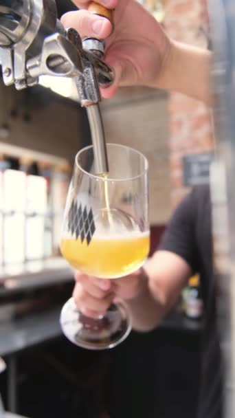 Barman Nalewa Dużą Szklankę Piwa Kranu Degustacja Piwa Pojęcie Napoju — Wideo stockowe