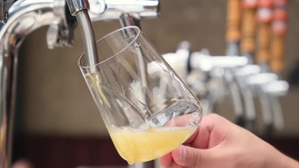 タップでラガービールの大きなグラスを注ぐバーテンダーの手 ビールの排気 アルコール飲料の概念 高品質の4K映像 — ストック動画