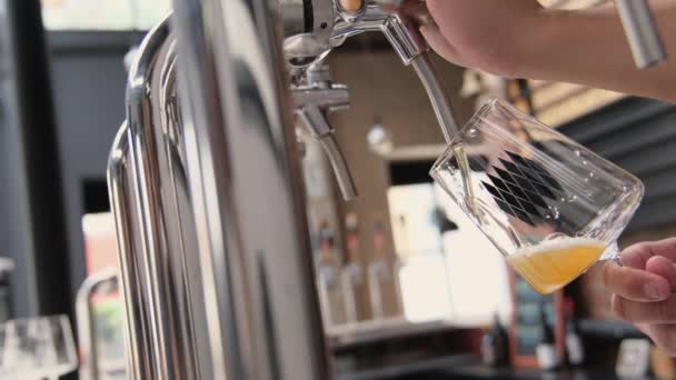 Barman Nalewa Dużą Szklankę Piwa Kranu Degustacja Piwa Pojęcie Napoju — Wideo stockowe
