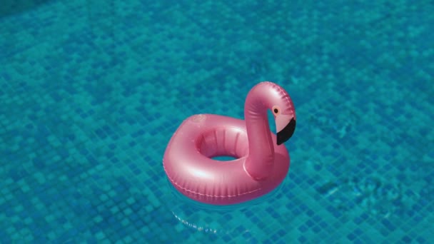 Aufblasbares Spielzeug Von Rosa Flamingo Der Nähe Von Schwimmbad Pool — Stockvideo