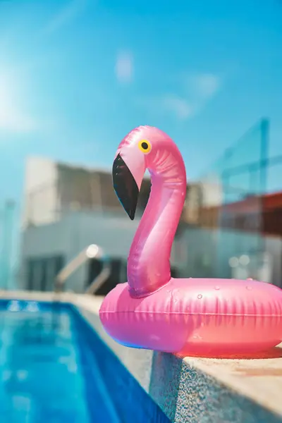 Flamingo float around swimming pool in hotel resort . summer concept