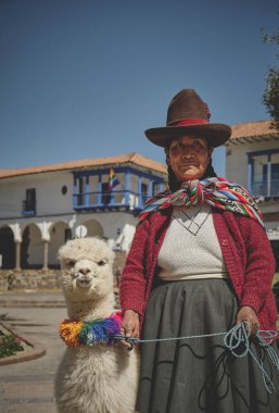 Cusco 'da yaşayan Perulu bir kadın geleneksel renkli giysiler içinde bir lama ile