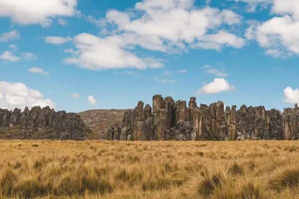 stock image Huayllay Stone Forest, rocks eroded by the wind over the years creating stone figures, is the perfect place to practice adventure sports and connect with nature. Cerro de Pasco. Peru