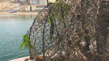 Bir insan, denizyosunuyla dolu bir ağı sudan çıkarıyor. Sahne, yanında mavi bir kova bulunan bir rıhtımda geçiyor. Sudaki yosunları çıkarmak için çok çalışıyor gibi görünüyor.