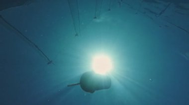 Yüzme havuzunun yüzeyinde yüzen taze dondurma kabı.